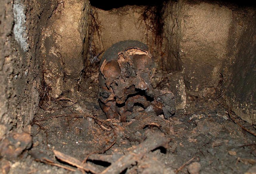 Un squelette en bon état est encore en place dans le sarcophage à logette